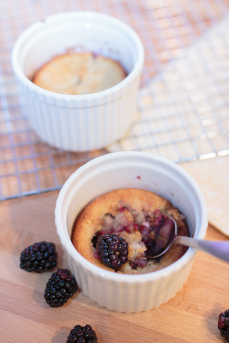 Mini Blackberry Cobblers for Two