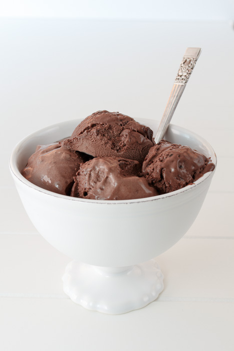 Double Chocolate Chip Ice Cream