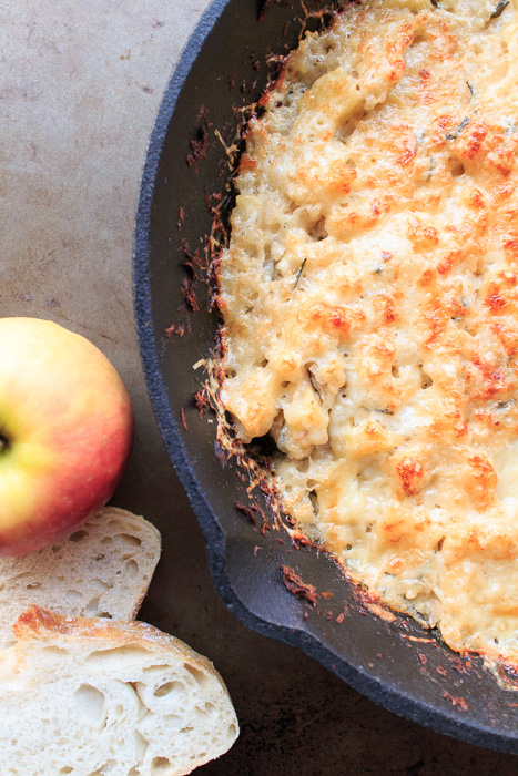 Caramelized Onion & Apple Dip  |  Lemon & Mocha