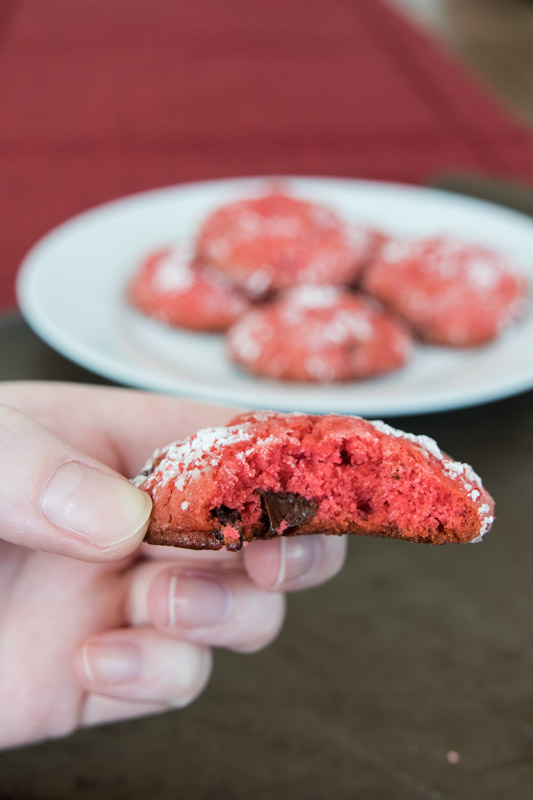 Chocolate Cherry Crinkle Cookies  |  Lemon & Mocha