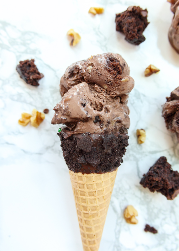 Chocolate Brownie Walnut Ice Cream  |  Lemon & Mocha