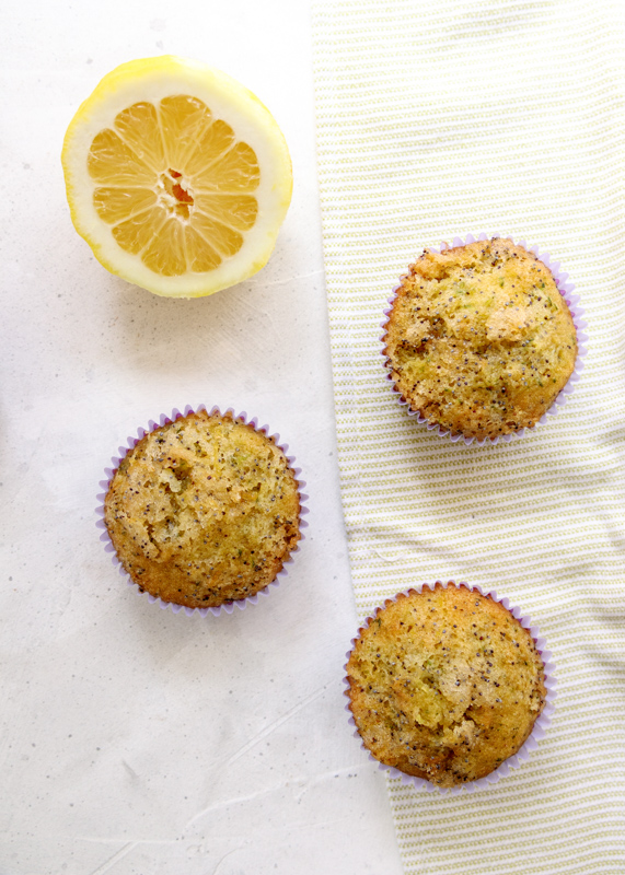 Lemon Poppy Seed Zucchini Muffins  |  Lemon & Mocha