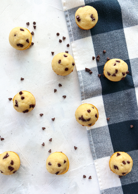 Chocolate Chip Mini Muffins  |  Lemon & Mocha