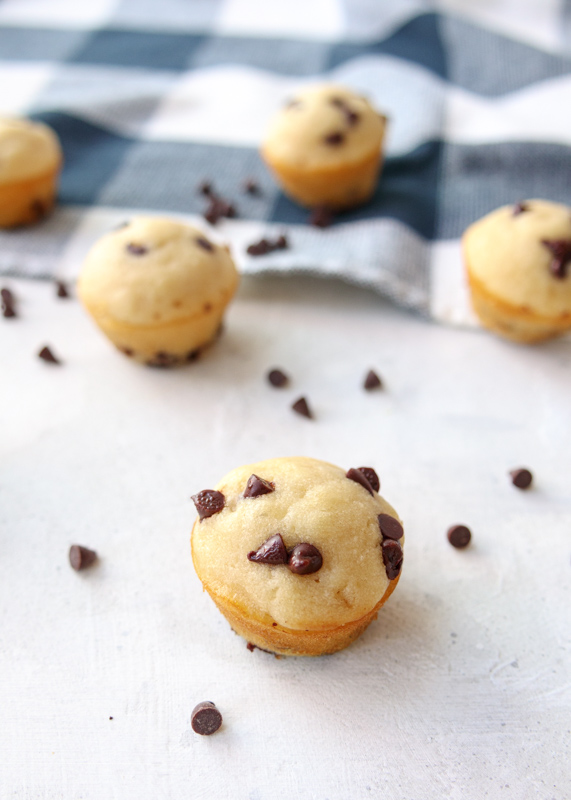 Chocolate Chip Mini Muffins  |  Lemon & Mocha