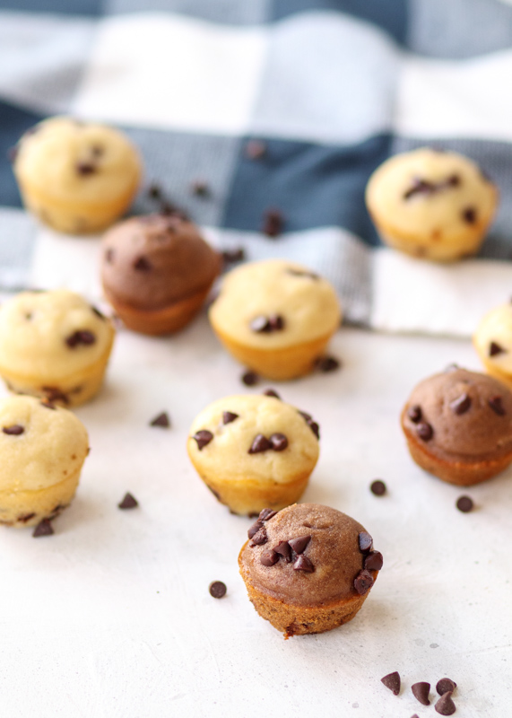 Chocolate Chip Mini Muffins  |  Lemon & Mocha