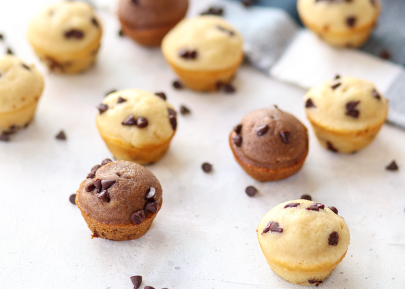 Chocolate Chip Mini Muffins  |  Lemon & Mocha