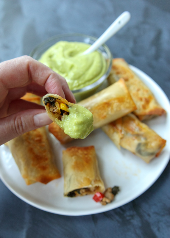 Southwest Turkey Baked Egg Rolls with an Avocado Dipping Sauce  |  Lemon & Mocha