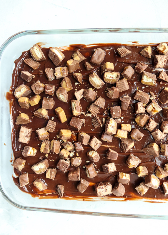 Leftover Halloween Candy Chocolate Lasagna  |  Lemon & Mocha