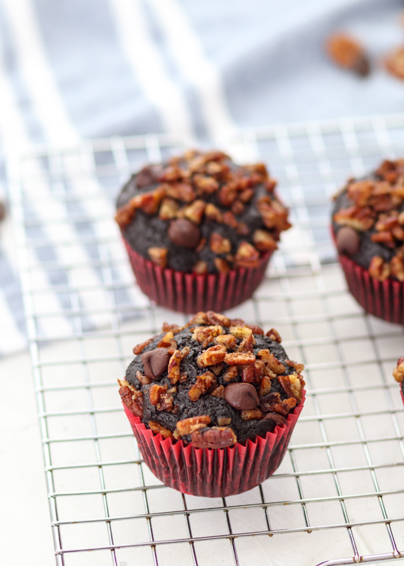 Double Chocolate Pecan Muffins  |  Lemon & Mocha