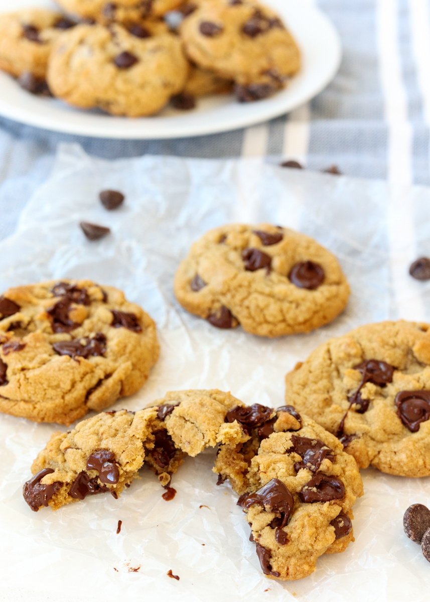 Perfect Chocolate Chip Cookies  |  Lemon & Mocha