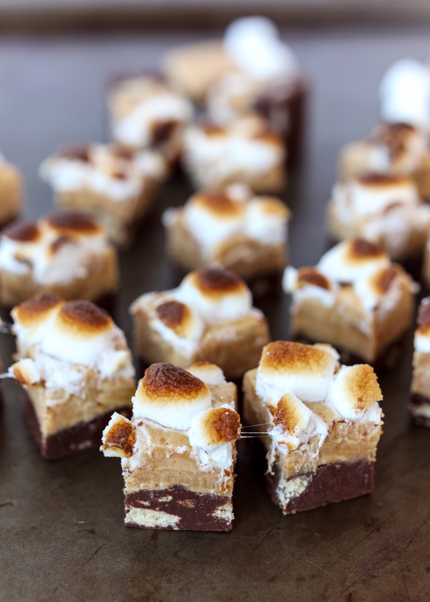 Peanut Butter S'mores Fudge  |  Lemon & Mocha