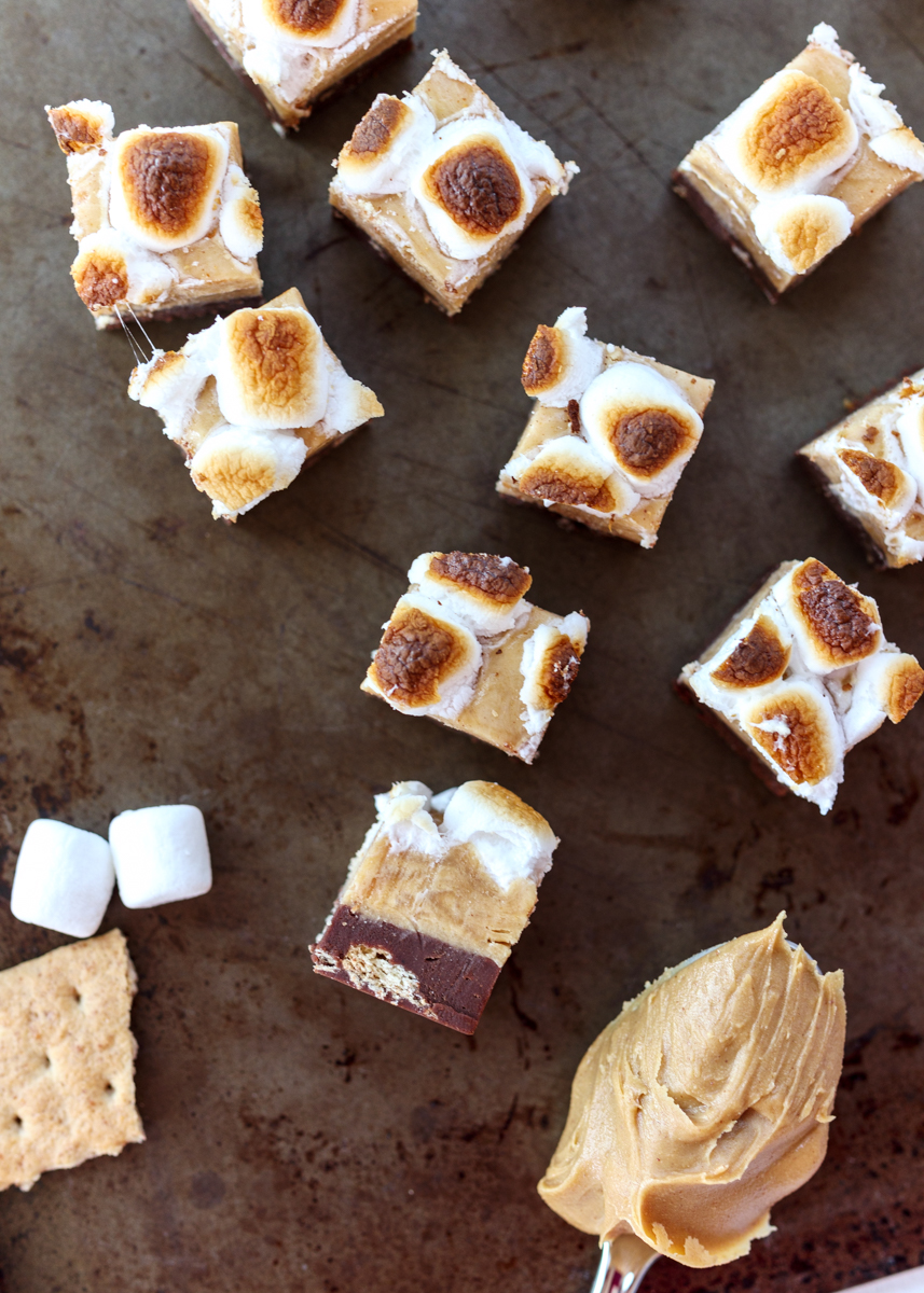 Peanut Butter S'mores Fudge  |  Lemon & Mocha