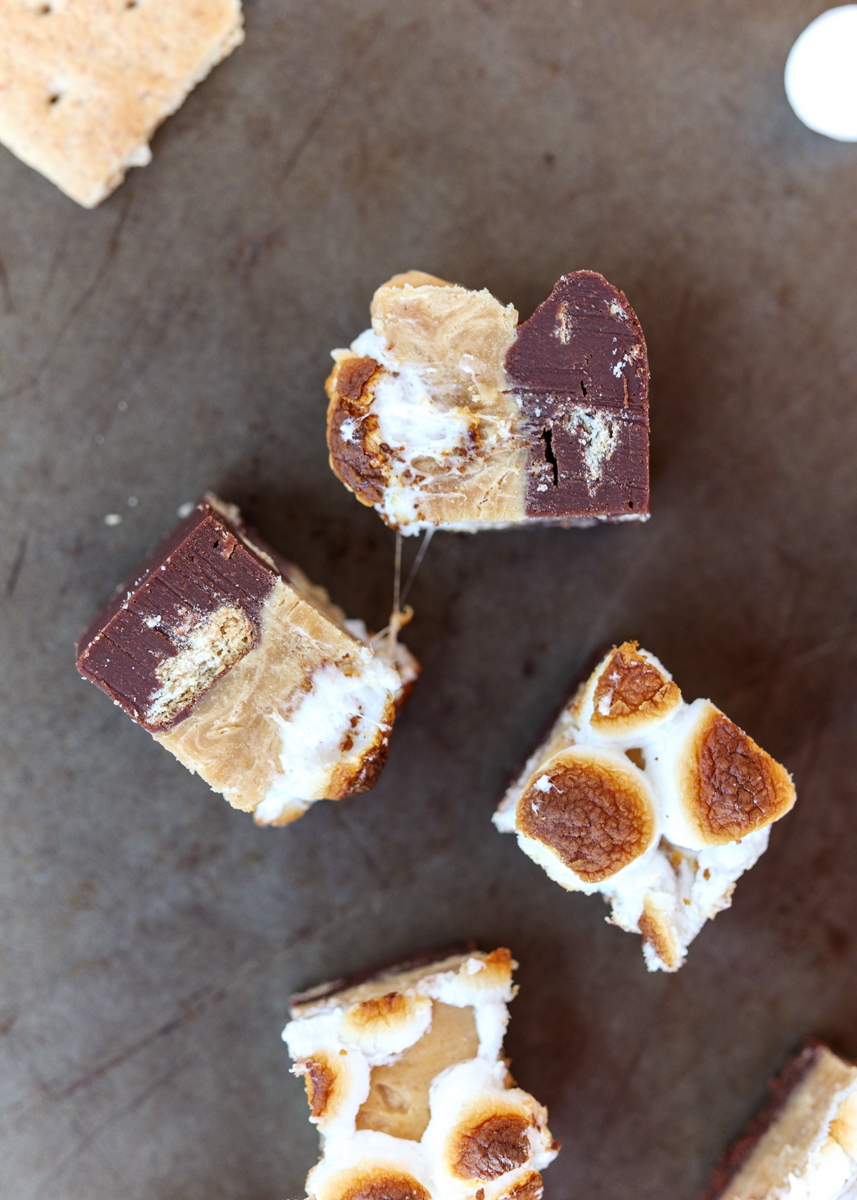 Peanut Butter S'mores Fudge  |  Lemon & Mocha