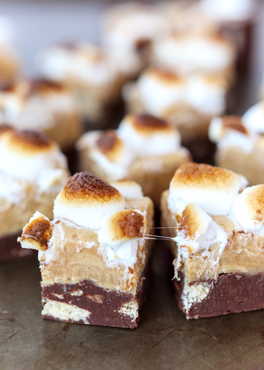 Peanut Butter S'mores Fudge  |  Lemon & Mocha