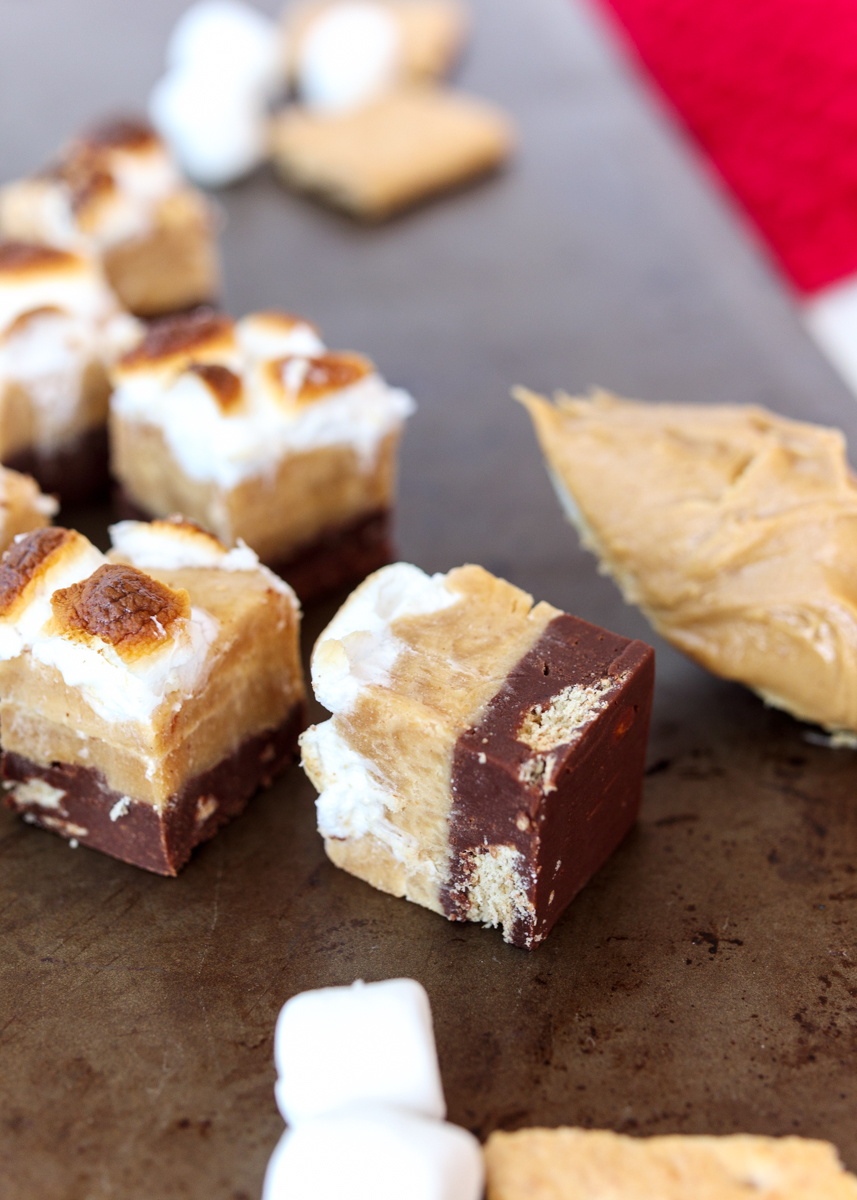 Peanut Butter S'mores Fudge  |  Lemon & Mocha