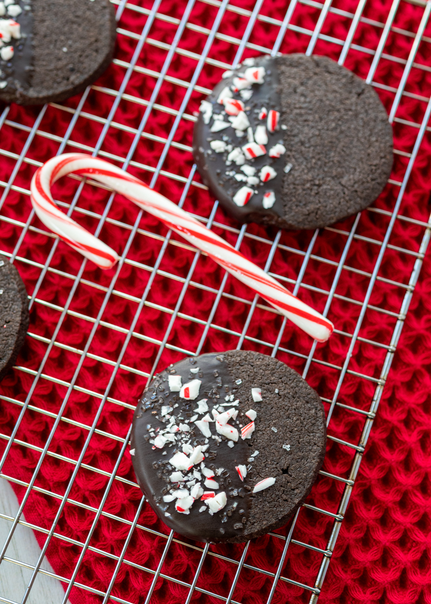 Double Chocolate Peppermint Cookies  |  Lemon & Mocha