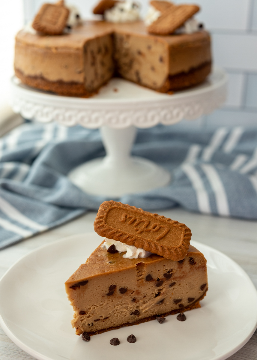 Chocolate Chip Cookie Butter Cheesecake  |  Lemon & Mocha