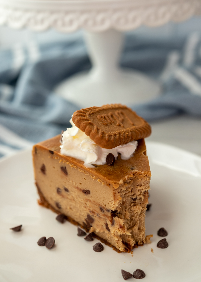 Chocolate Chip Cookie Butter Cheesecake  |  Lemon & Mocha