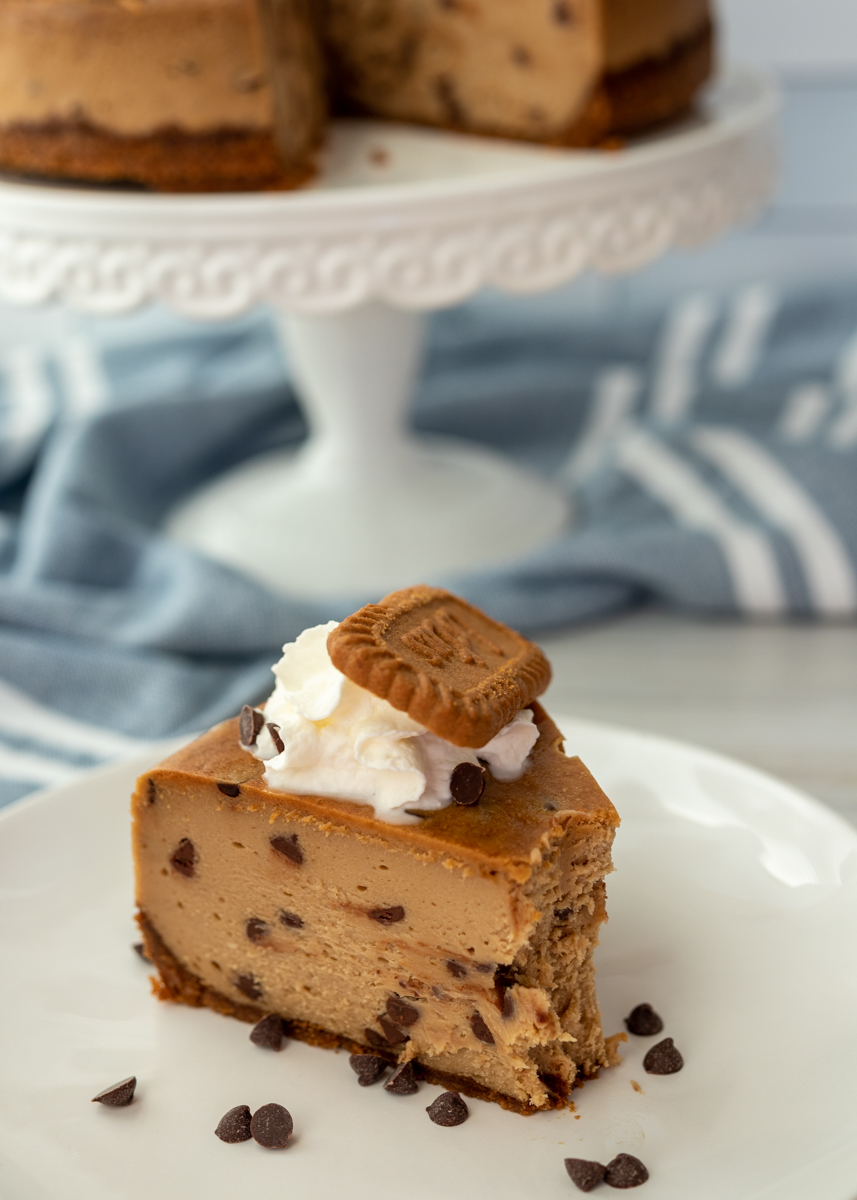 Chocolate Chip Cookie Butter Cheesecake